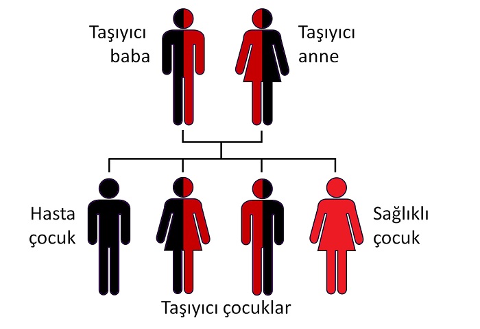 Hemoglobinopati